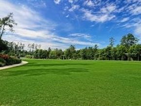 1810 N Red Cedar Circle, The Woodlands TX 77380