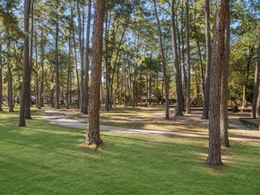 3203 Golden Willow Drive, Houston TX 77339