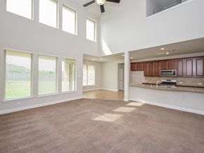 7 Florentino Vine Place, Magnolia TX 77354