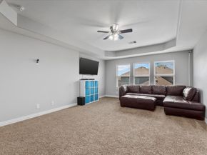 16319 Denise Terrace Drive, Hockley TX 77447