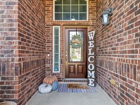 16319 Denise Terrace Drive, Hockley TX 77447
