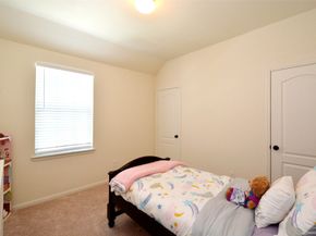 15218 Wild Plum Thicket Lane, Cypress TX 77433