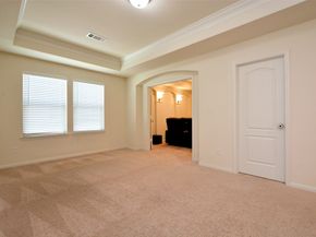 15218 Wild Plum Thicket Lane, Cypress TX 77433