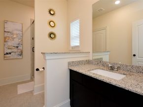 15218 Wild Plum Thicket Lane, Cypress TX 77433