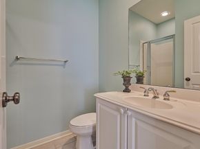 23 Fortuneberry Place, The Woodlands TX 77382