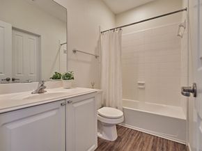 23 Fortuneberry Place, The Woodlands TX 77382