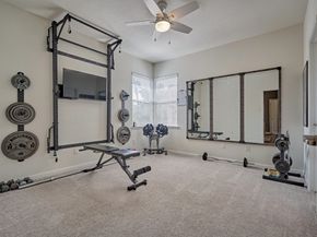 23 Fortuneberry Place, The Woodlands TX 77382