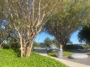 3900 Woodchase Drive 50, Houston TX 77042