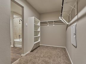 22630 Winter Maple Trail, Spring TX 77373