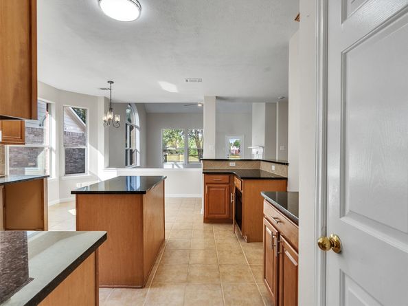 16310 Pinon Vista Drive, Houston TX 77095