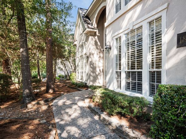 18 Morning Arbor Place, The Woodlands TX 77381
