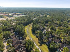 18 Morning Arbor Place, The Woodlands TX 77381