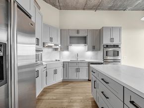 1616 Fountain View Drive 509, Houston TX 77057