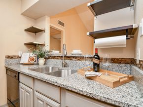 3500 Tangle Brush Drive 14, The Woodlands TX 77381