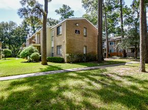 3500 Tangle Brush Drive 14, The Woodlands TX 77381
