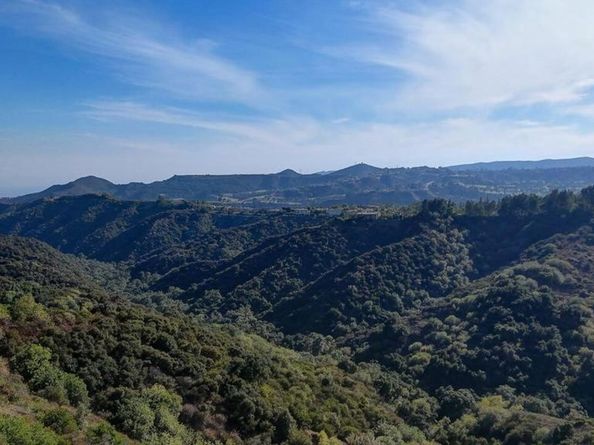 2345 Roscomare Road 303, Los Angeles CA 90077