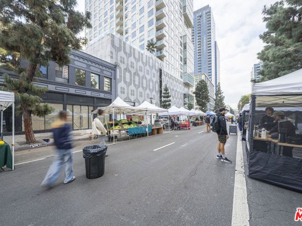 1100 S Grand Avenue A703, Los Angeles CA 90015