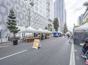 1100 S Grand Avenue A703, Los Angeles CA 90015