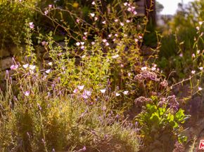 21322 Hillside Drive, Topanga CA 90290