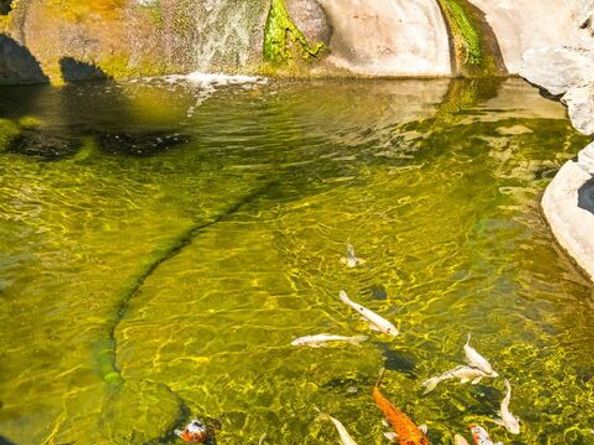 1047 Pomello Drive, Claremont CA 91711