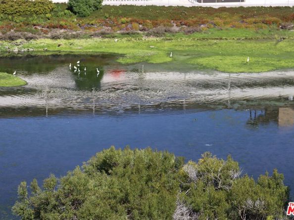 6220 Pacific Avenue 303, Playa Del Rey CA 90293