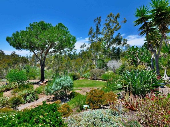 10304 Spruce Grove, San Diego CA 92131