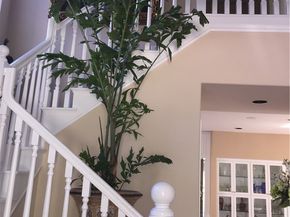 10715 Plumas Way, Tustin CA 92782