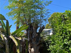 3111 Halldale Ave., Los Angeles CA 90018