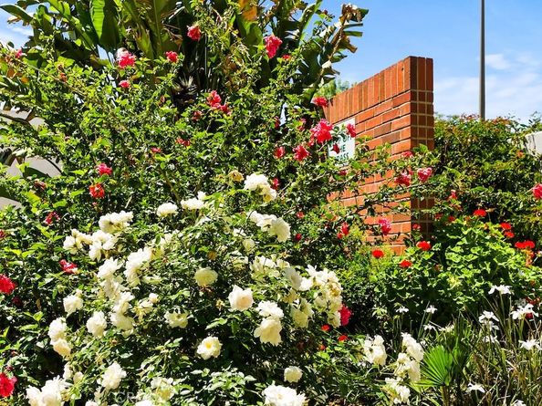 18620 Hatteras Street 223, Tarzana CA 91356