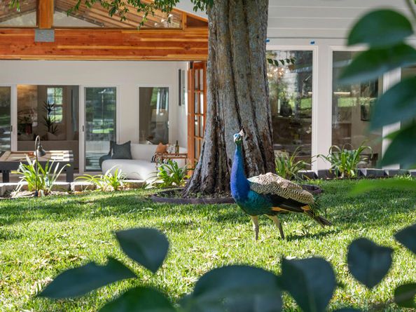 875 San Simeon Road, Arcadia CA 91007