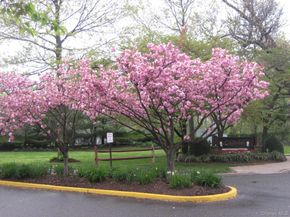 40 Town House Drive, Massapequa Park NY 11762