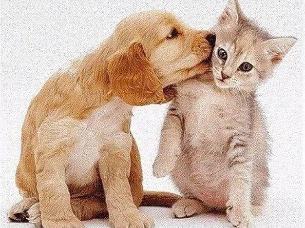 100-25 Queens Boulevard 2R, Forest Hills NY 11375