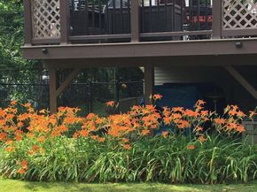 74 Lauren Avenue, Dix Hills NY 11746