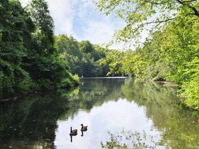 25 Parkview Avenue 2A, Bronxville NY 10708