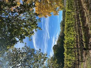 535 Bay Home Road, Southold NY 11971