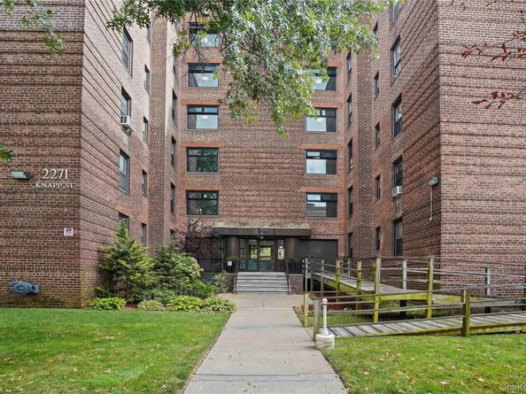 2271 Knapp Street 5D, Brooklyn NY 11229