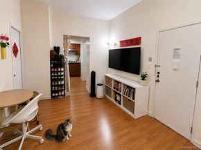 167 Sands Street 218, Brooklyn NY 11201