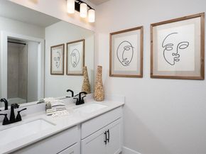 719  Bluestem Street , Mansfield Texas 76063