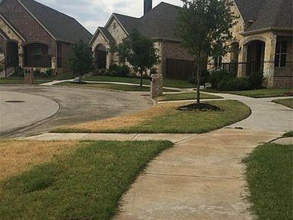 8633  Ludlow Drive , Frisco Texas 75036