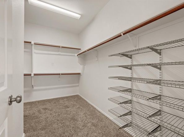 306  Blackhaw Drive , Fate Texas 75087