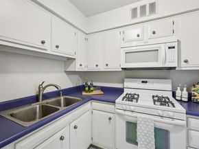1401  Forest Edge Drive  21, Arlington Texas 76013