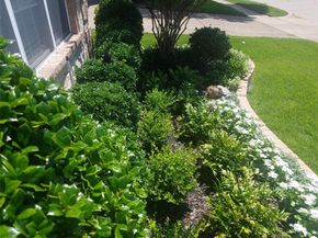 1660  Kimble Drive , Carrollton Texas 75010