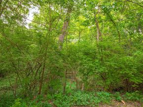 4  Nonesuch Road , Dallas Texas 75214