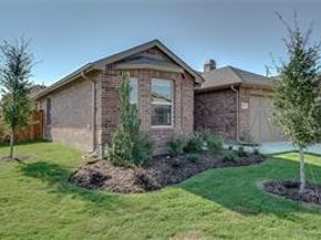 1001  Pigeon Hawk Drive , Little Elm Texas 75068
