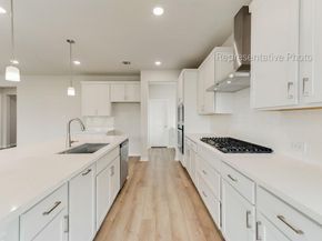 15029  Pizarro Court , Little Elm Texas 75068