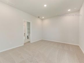 15029  Pizarro Court , Little Elm Texas 75068