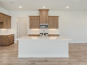 113  Whistling Duck Drive , Balch Springs Texas 75181