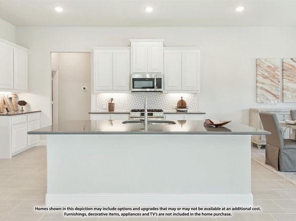113  Whistling Duck Drive , Balch Springs Texas 75181