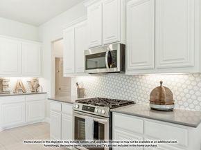 113  Whistling Duck Drive , Balch Springs Texas 75181