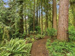 8812 133rd Avenue NE, Redmond WA 98052
